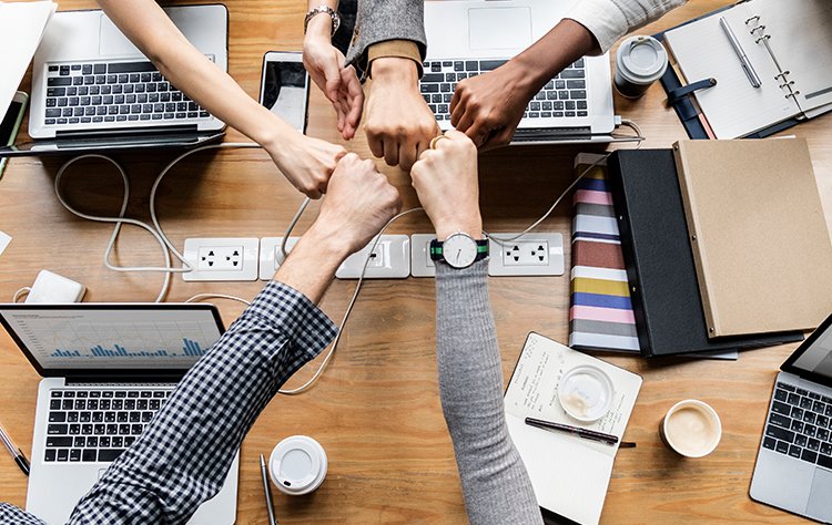 Factors that contribute to the success of a startup Factors that contribute to the success of a startup