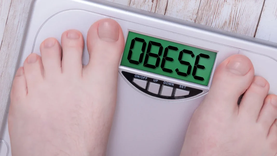 Combat Obesity in Schools: UAE Health Ministry Launches New Workshops Obesity in Schools