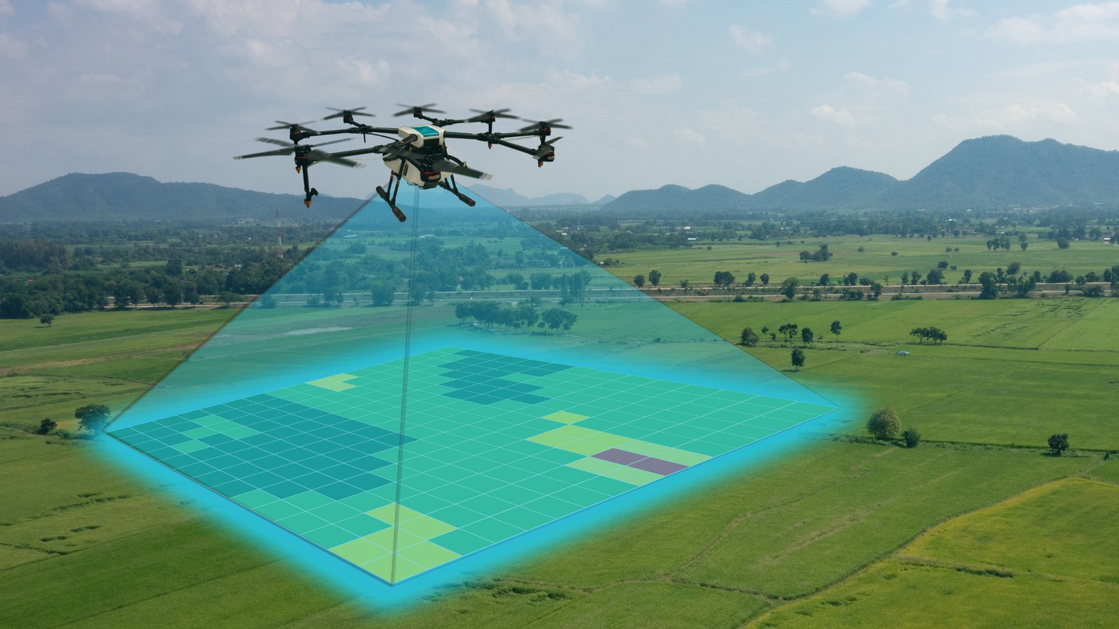 Plant Studies with Drone