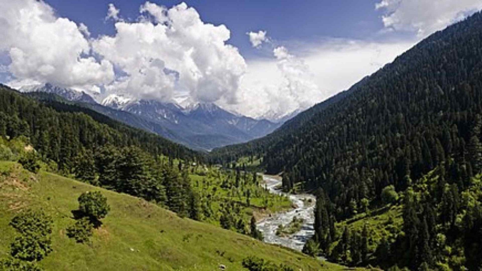 UAE residents cancel holidays to Kashmir